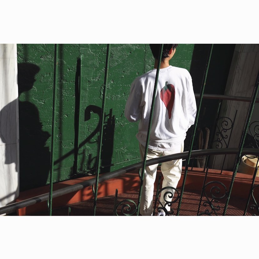SPICY CREW NECK